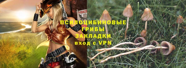 стаф Костерёво