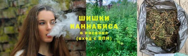 стаф Костерёво