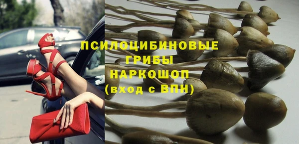 mix Корсаков