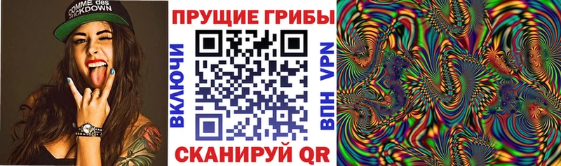 Купить где  Тюкалинск  Галлюциногенные грибы прущие грибы 