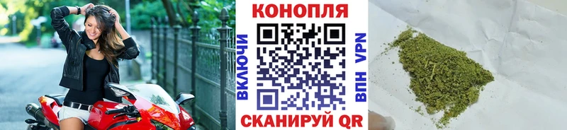 Купить где  Тюкалинск  Бошки Шишки ГИДРОПОН 